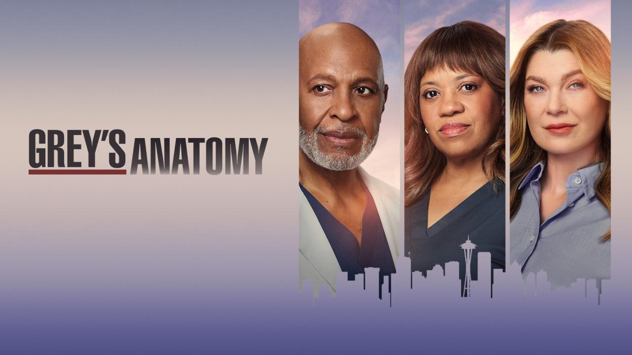 شاهد انمي Grey’s Anatomy الموسم 23 الحلقة 2 الثانية مترجمة