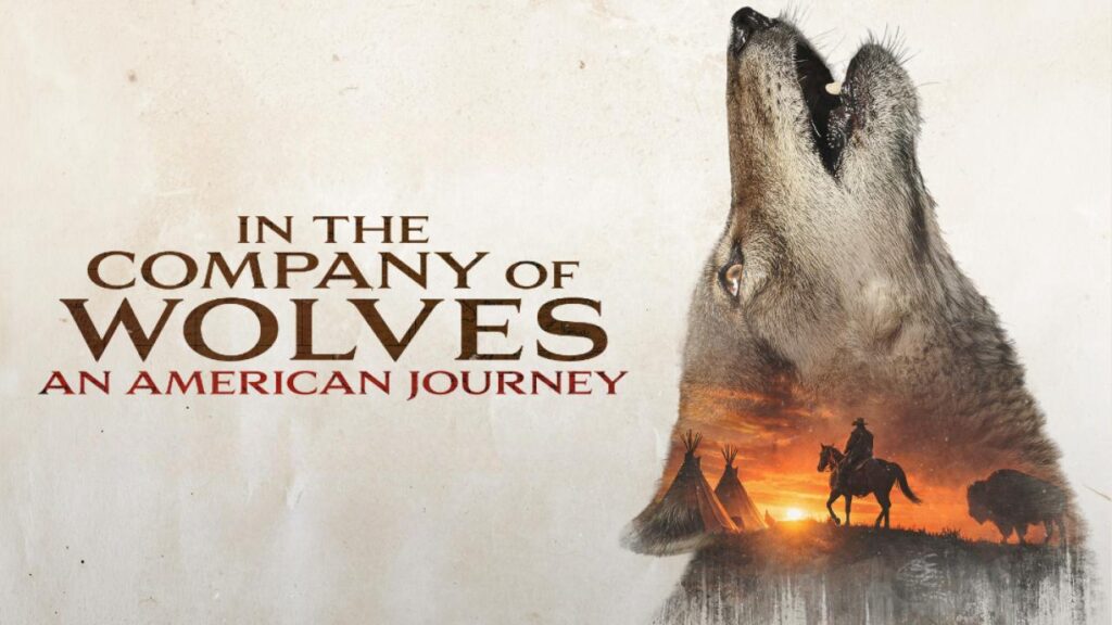 شاهد شاهد انمي In The Company Of Wolves An American Journey 2026 مترجم